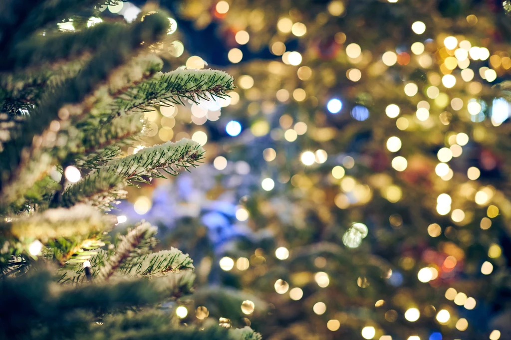 Lampki choinkowe to jeden z głównych elementów bożonarodzeniowych dekoracji