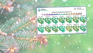 Niespokojna Wigilia i Boże Narodzenie. Szykuje się totalna kapitulacja zimy