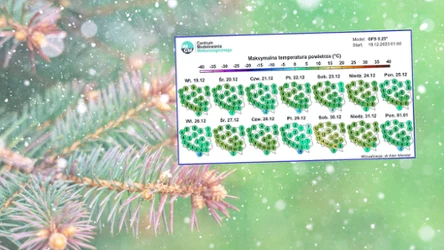 Jak wynika z prognoza IMGW, w Wigilię trzeba się liczyć z silnym wiatrem. W Boże Narodzenia będzie bardziej jesiennie niż zimowo