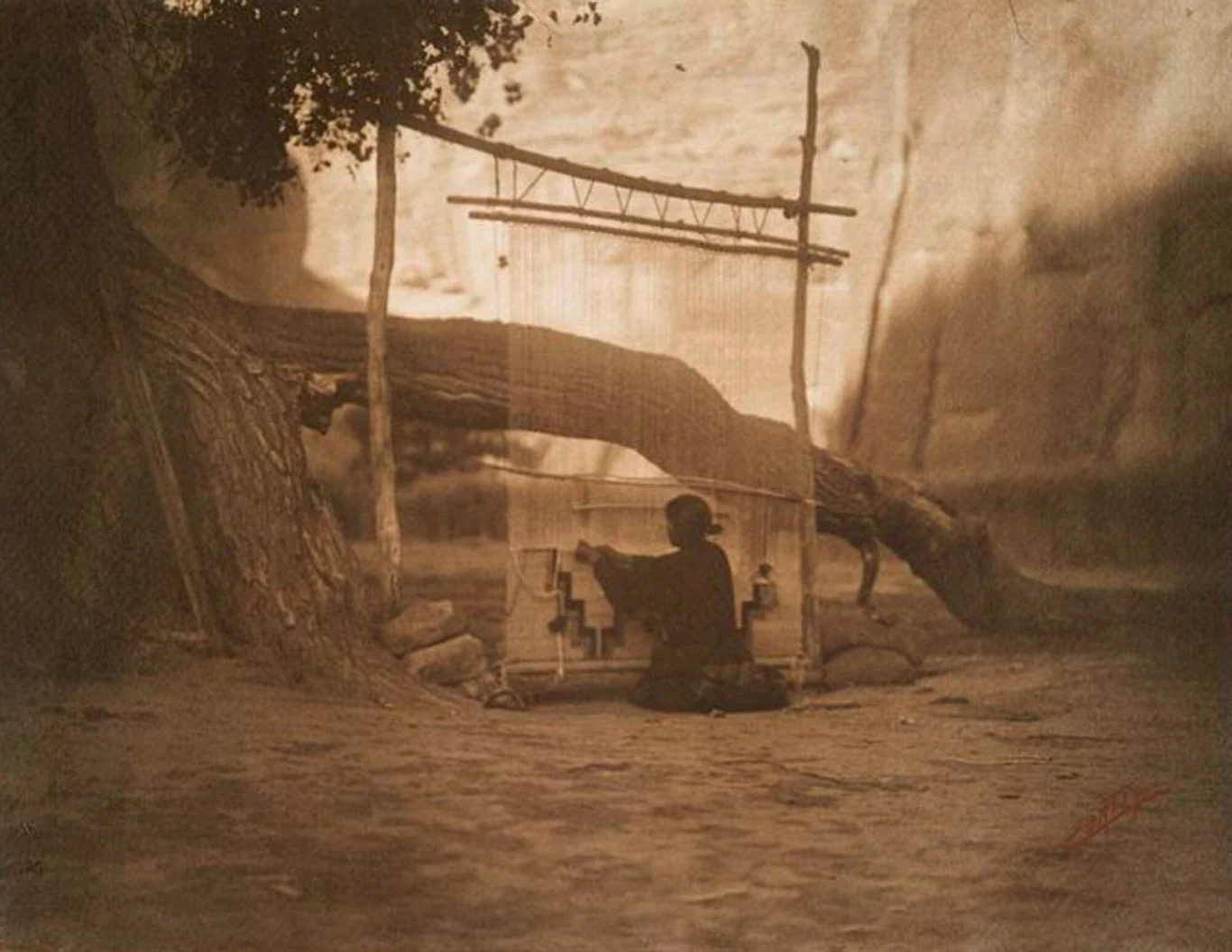 Wełna z psów była używana do tkania koców