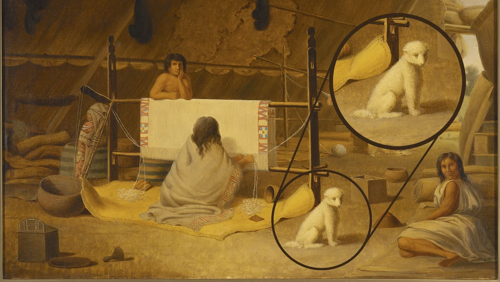 Obraz z Royal Ontario Museum przedstawiający tkających Saliszów i prawdopodobnie wełnianego psa