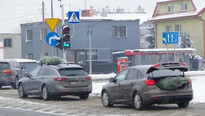 W ten sposób nigdy nie przewoź choinki. Możesz dostać wysoki mandat