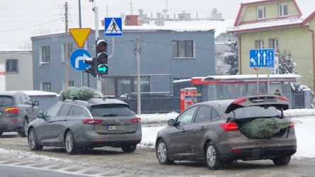 Choinka przewożona na dachu i w bagażniku musi być odpowiednio zabezpieczona, aby nie zagrażała innym uczestnikom ruchu drogowego