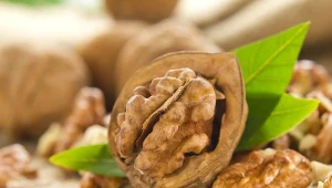 Tak pozbędziesz się gorzkiej skórki z orzechów włoskich. Wystarczą 2 minuty 