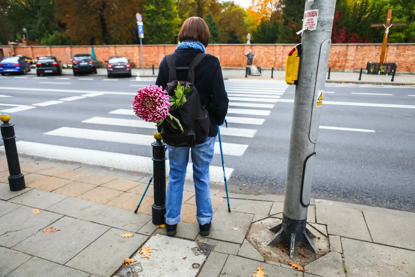 Włączniki można spotkać na przejściach przy ruchliwych ulicach dużych miast