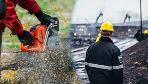 Prawnicy chcą zmian. Chodzi o reformę lasów i przywileje górnictwa