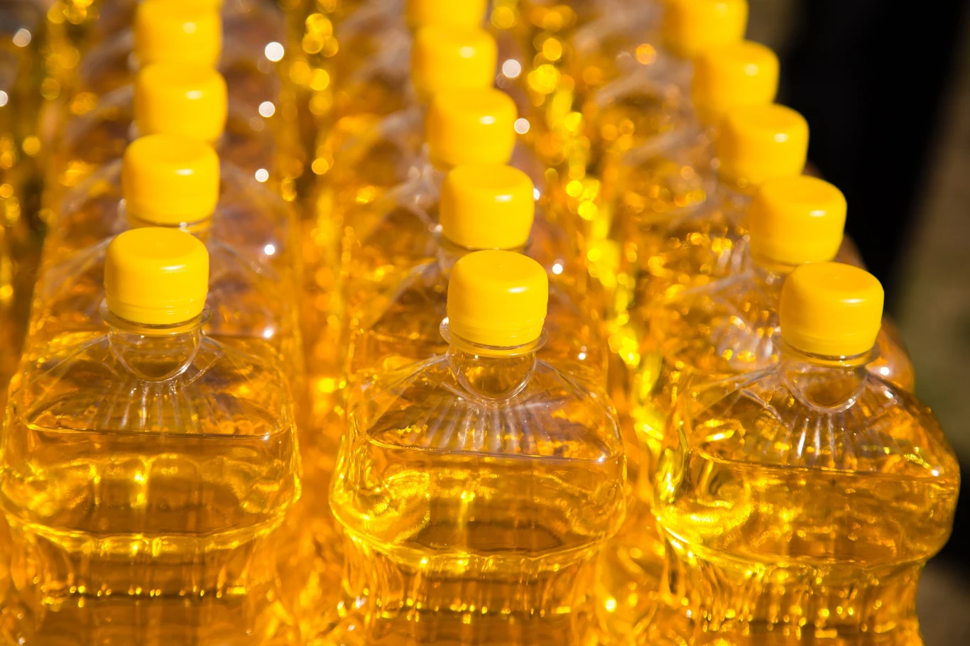 Nie warto całkowicie rezygnować z tłuszczów