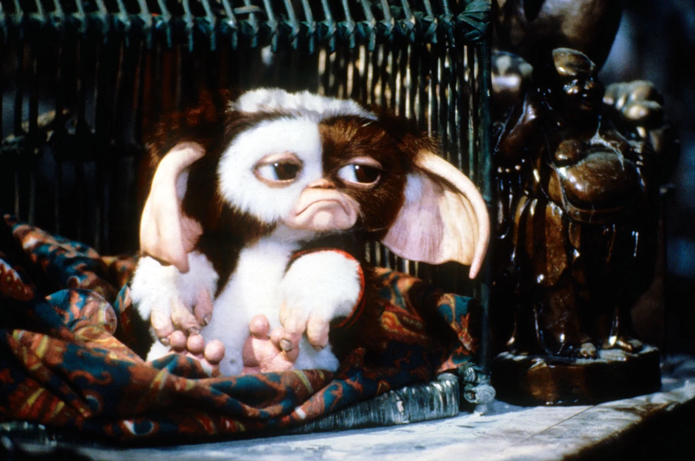 Gizmo z "Gremliny rozrabiają"