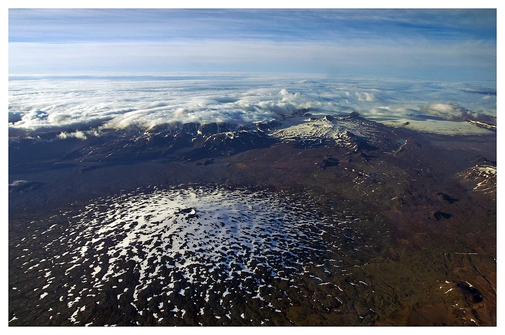 Skjaldbreiður na Islandii 