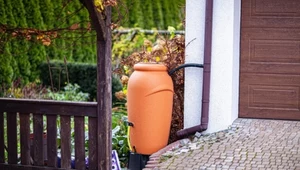 Zbiornik na deszczówkę w ogrodzie: jak zwiększyć efektywność nawadniania roślin?