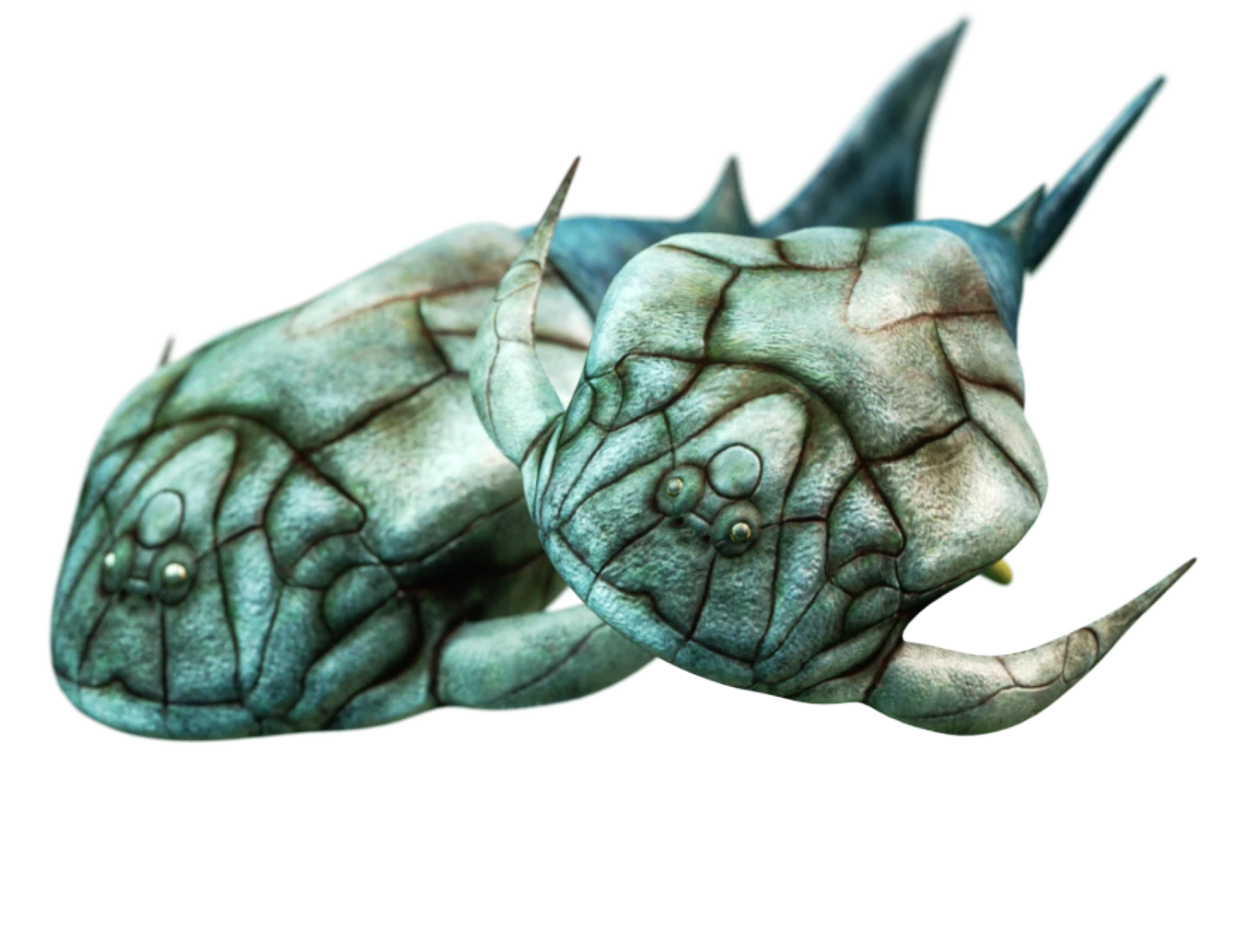 Microbrachius dicki Microbrachius dicki