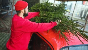 Co zrobić z choinką po świętach? Zamiast wyrzucać, wykorzystaj