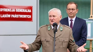 Ujawniono koszty organizacji pikników Lasów Państwowych "Drewno - surowiec wszech czasów"