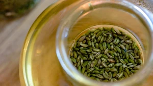 Proponujemy trzy napary - napar z kminku, anyżu i kopru włoskiego