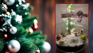 Efektowna ozdoba świąteczna do twojego domu. Wykonasz ją w kilka minut