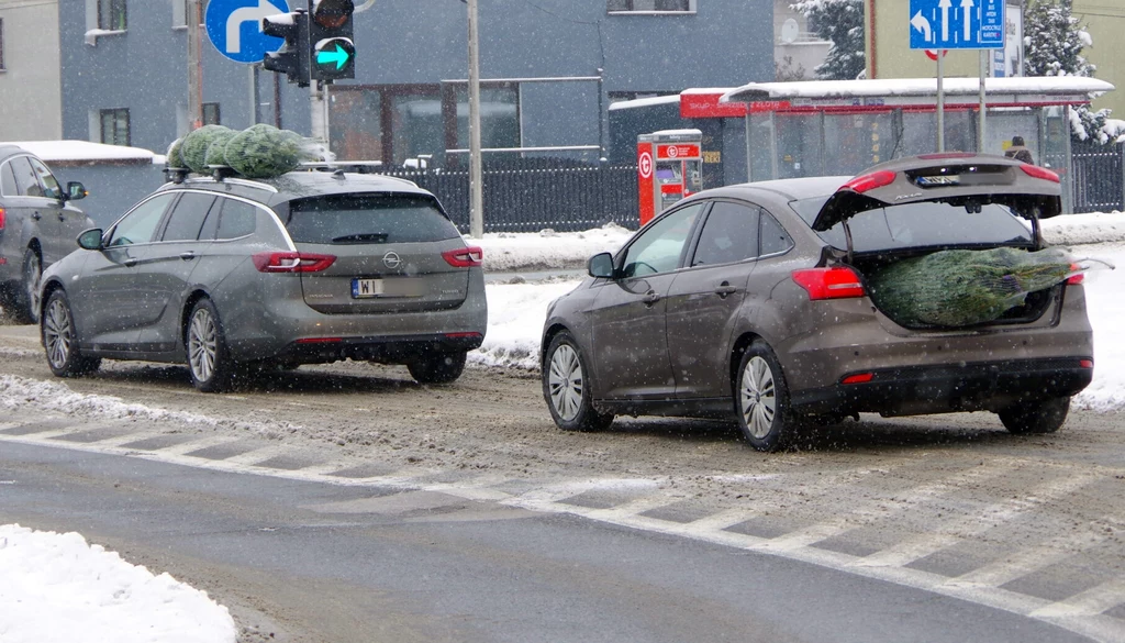 Kupiłeś choinkę? Powinieneś znać zasady jej przewożenia