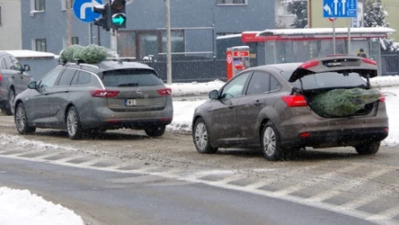 Jak nie należy przewozić choinki?
