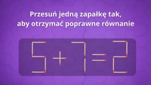 Test na inteligencję. Przestaw jedną zapałkę, aby otrzymać poprawne rozwiązanie