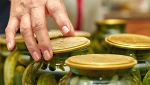 Do produktów o dużej zawartości histaminy zaliczamy m.in. popularne kiszonki