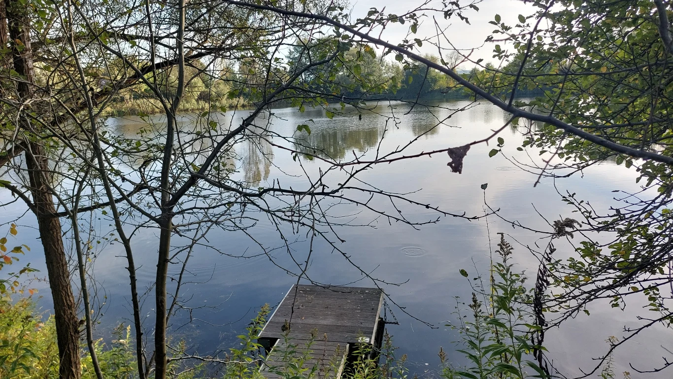 Ciało Klaudii znaleziono na mokradłach