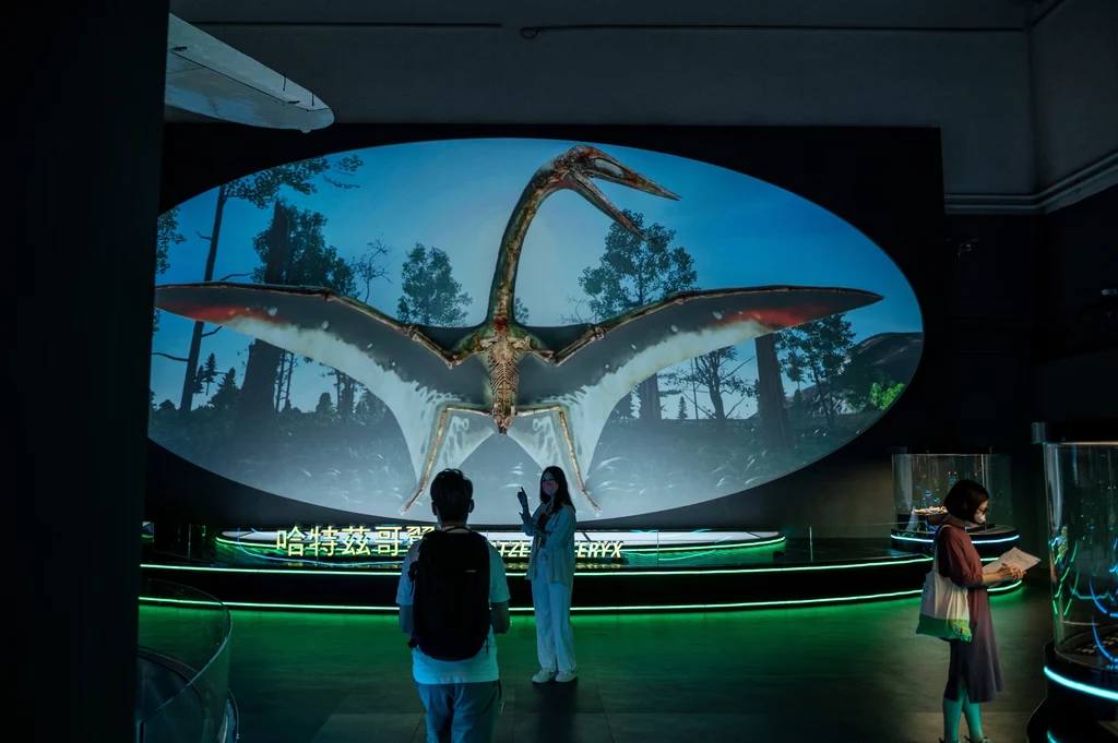 Wielki Hatzegopteryx - ogromny pterozaur z Rumunii