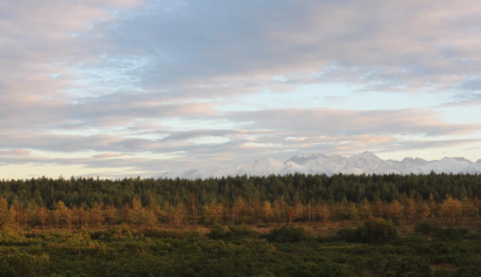 Bór na Czerwonem, czyli drewnianą kładką przez torfowisko. Niezwykły punkt widokowy na Tatry