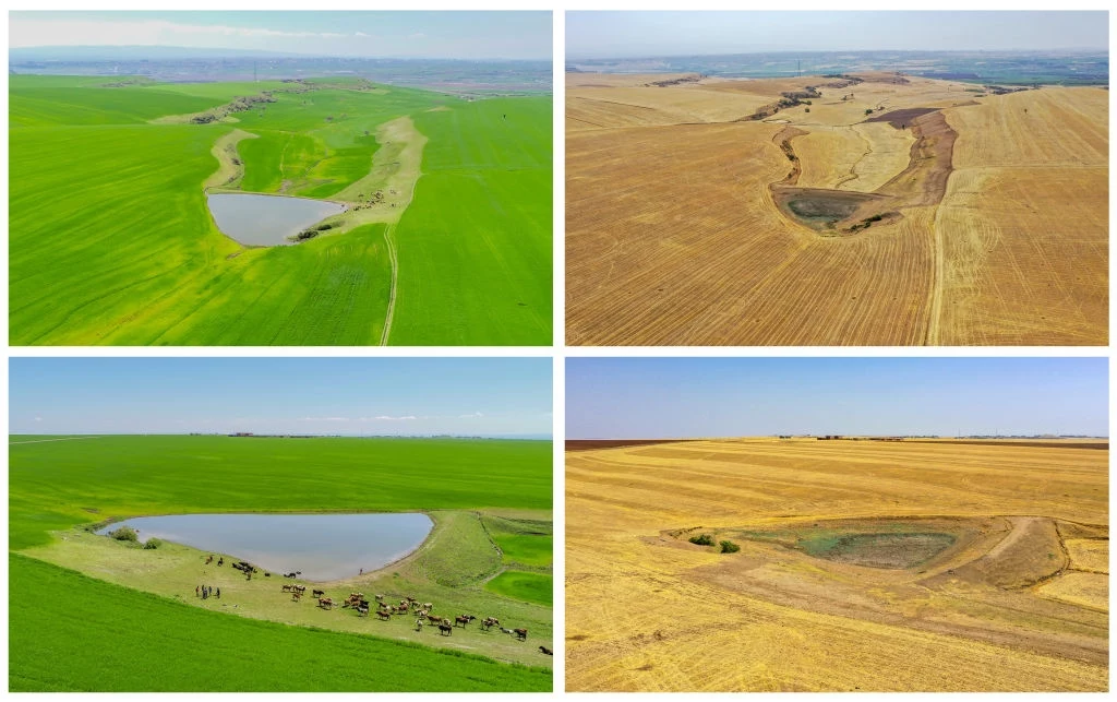 Zbiorniki wodne wysychają na skutek zmian klimatu. Na zdjęciu widoczne są skutki suszy w Diyarbakir w Turcji