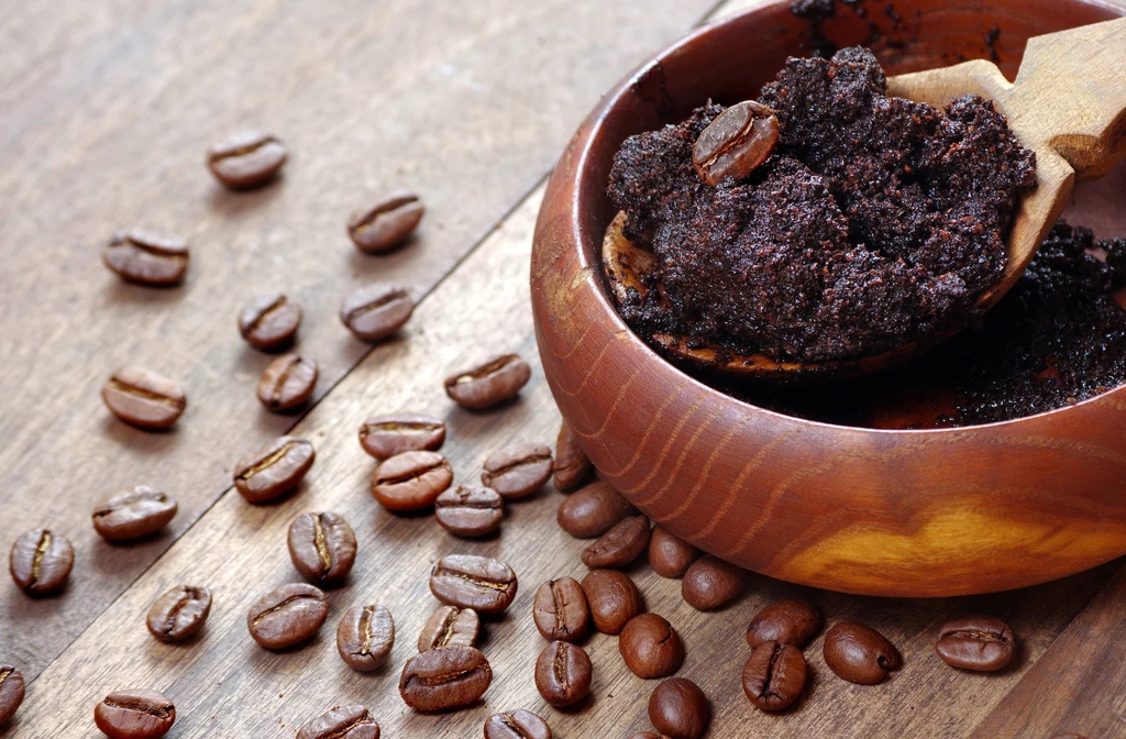Fusy z kawy oraz fasola to podstawa odżywczego nawozu do zamiokulkasa