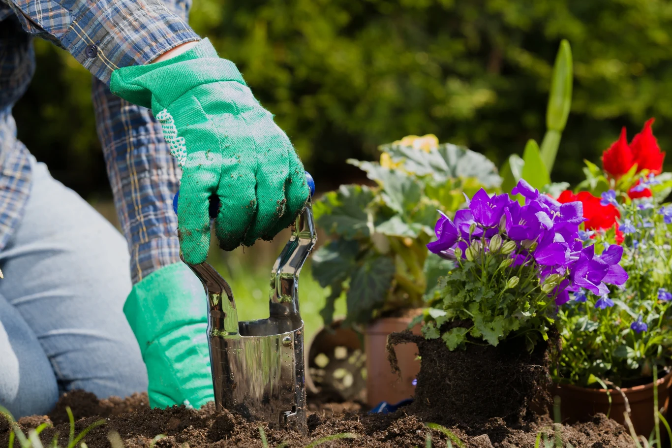 Z czego zrobić domowy nawóz, aby zastąpić nim obornik? Z czego zrobić domowy nawóz, aby zastąpić nim obornik?