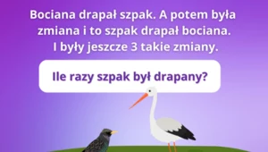 Test IQ: Ile razy szpak był drapany? Bardzo podchwytliwa zagadka