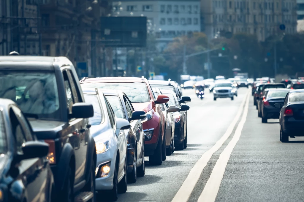 Na platformie Automarket.pl znajdziemy wiele modeli, które świetnie sprawdzą się w mieście 