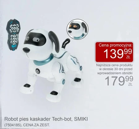 Robot Smiki