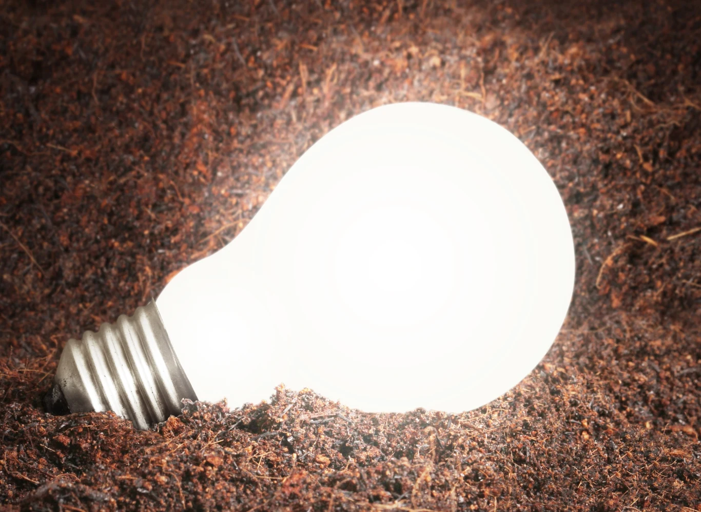 Żarówka LED żarówce LED jest nierówna. Podczas zakupu warto zwracać uwagę na różne informacje umieszczone na opakowaniu przez producenta Żarówka LED żarówce LED jest nierówna. Podczas zakupu warto zwracać uwagę na różne informacje umieszczone na opakowaniu przez producenta