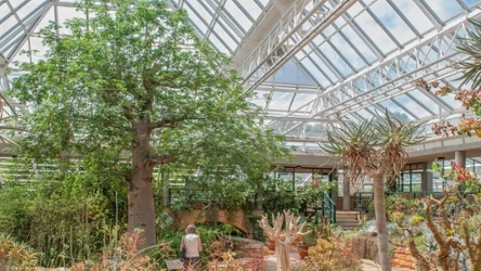 Najciekawsze ogrody botaniczne na świecie