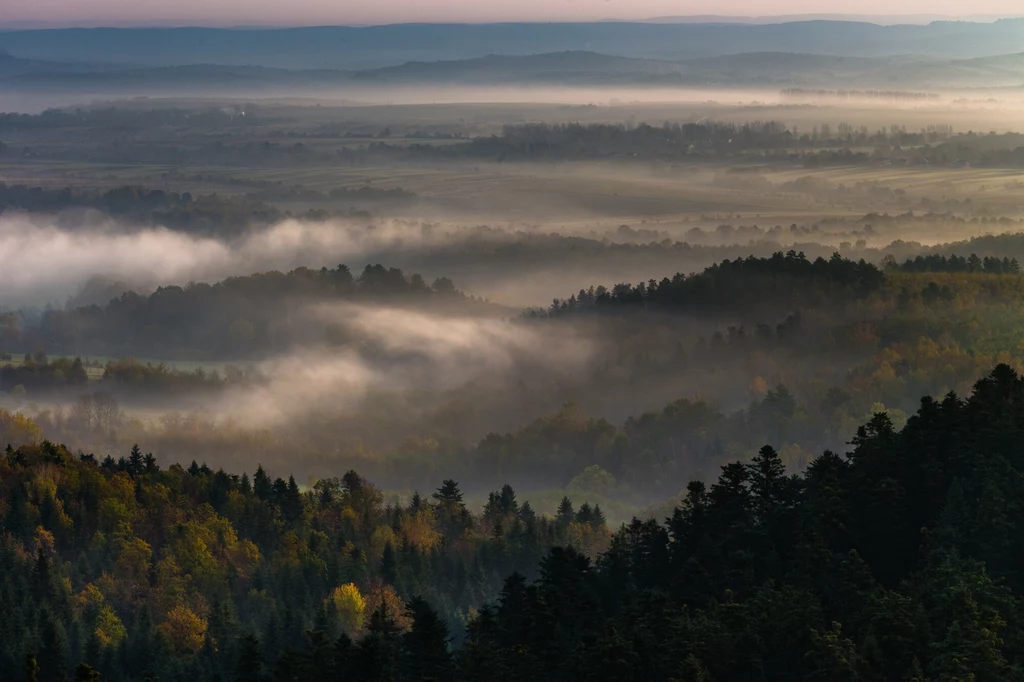 Aktywiści apelują o powołanie nowego parku narodowego na Pogórzu Przemyskim