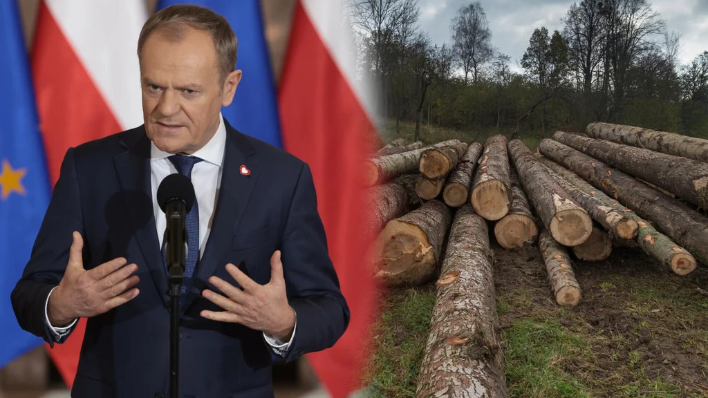 Premier Donald Tusk zapowiedział zmiany w Lasach Państwowych. Dyrektorem ma zostać Witold Koss