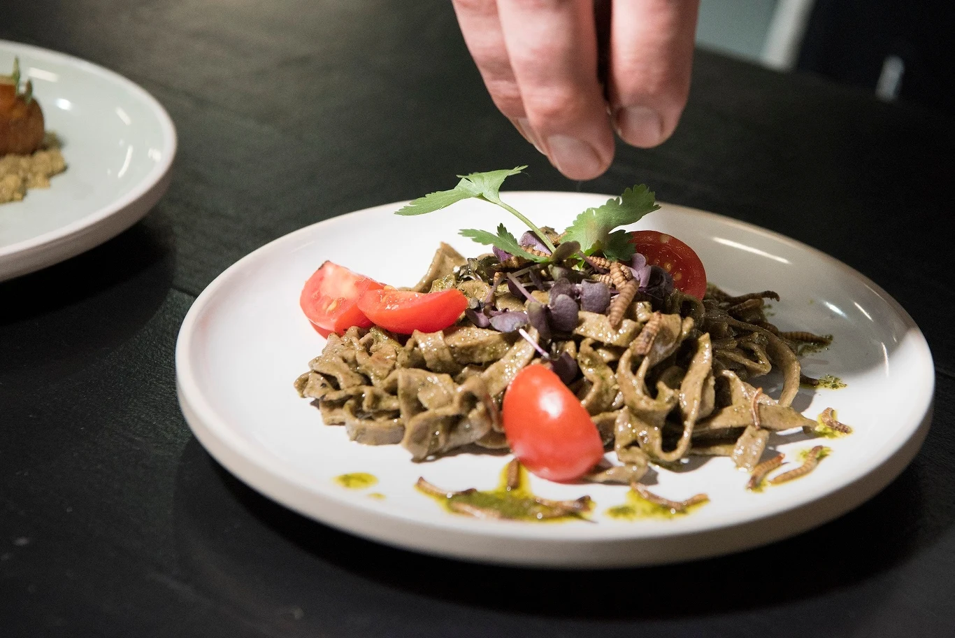 Szefa kuchni Mario Barnard w restauracji Gourmet Grubb's The Insect Experience w Kapsztadzie (RPA) prezentuje danie Basil Pesto Taglietelle. Przyrządził je ze zmielonych larw much czarnych i przyozdobił larwami mącznika młynarka (Tenebrio molitor), które w styczniu 2021 r. Europejski Urząd Bezpieczeństwa Żywności wpisał do katalogu nowej żywności. Gourmet Grubb jest pierwszą restauracją specjalizującą się w potrawach z insektów
