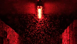 Hodowla much czarnych na farmie "Made by made" w Pegau pod Lipskiem. Kay Hempel, dyrektor zarządzający, mówi wprost: Nie ma alternatywy dla jedzenia owadów