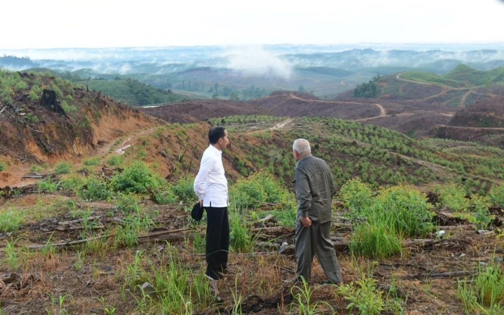 "Tu na razie jest ściernisko..." - prezydent Indonezji Joko Widodo i gubernator Borneo na terenie przyszłej stolicy Nusantary