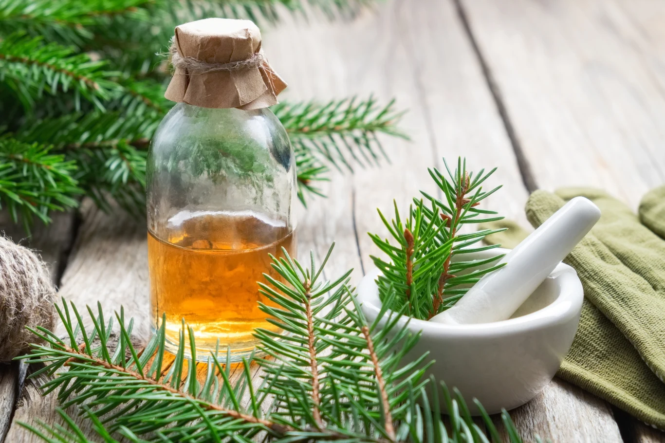 Jak zrobić ocet z gałązek choinki? 