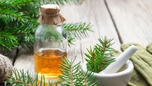 Urwij gałązkę z choinki i zrób naturalny środek do sprzątania