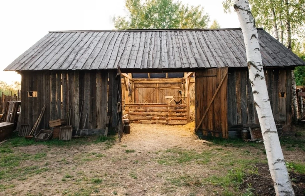 Materiały prasowe Polsatu