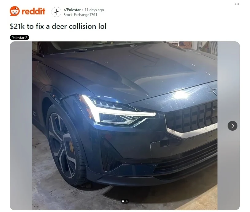 Polestar 2 wyszło ze zderzenia z jeleniem jedynie z drobnymi uszkodzeniami / fot. Reddit/Stock-Exchange1761