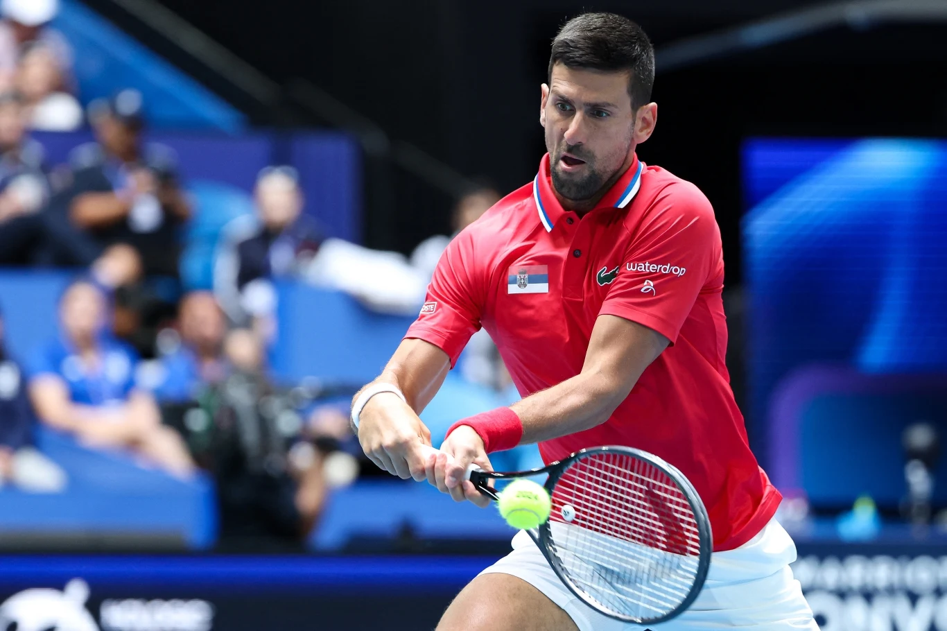 Novak Djoković