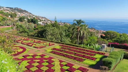 Gdzie warto się wybrać zimną na urlop? Madera to jeden z lepszych kierunków 