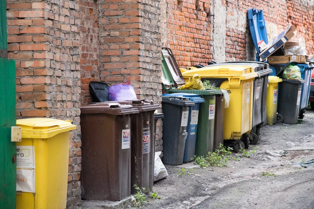 Wspólnocie mieszkaniowej z Warszawy grozi 100 tys. zł kary. Chodzi o trzymanie śmietników na ulicy (zdj. ilustracyjne)