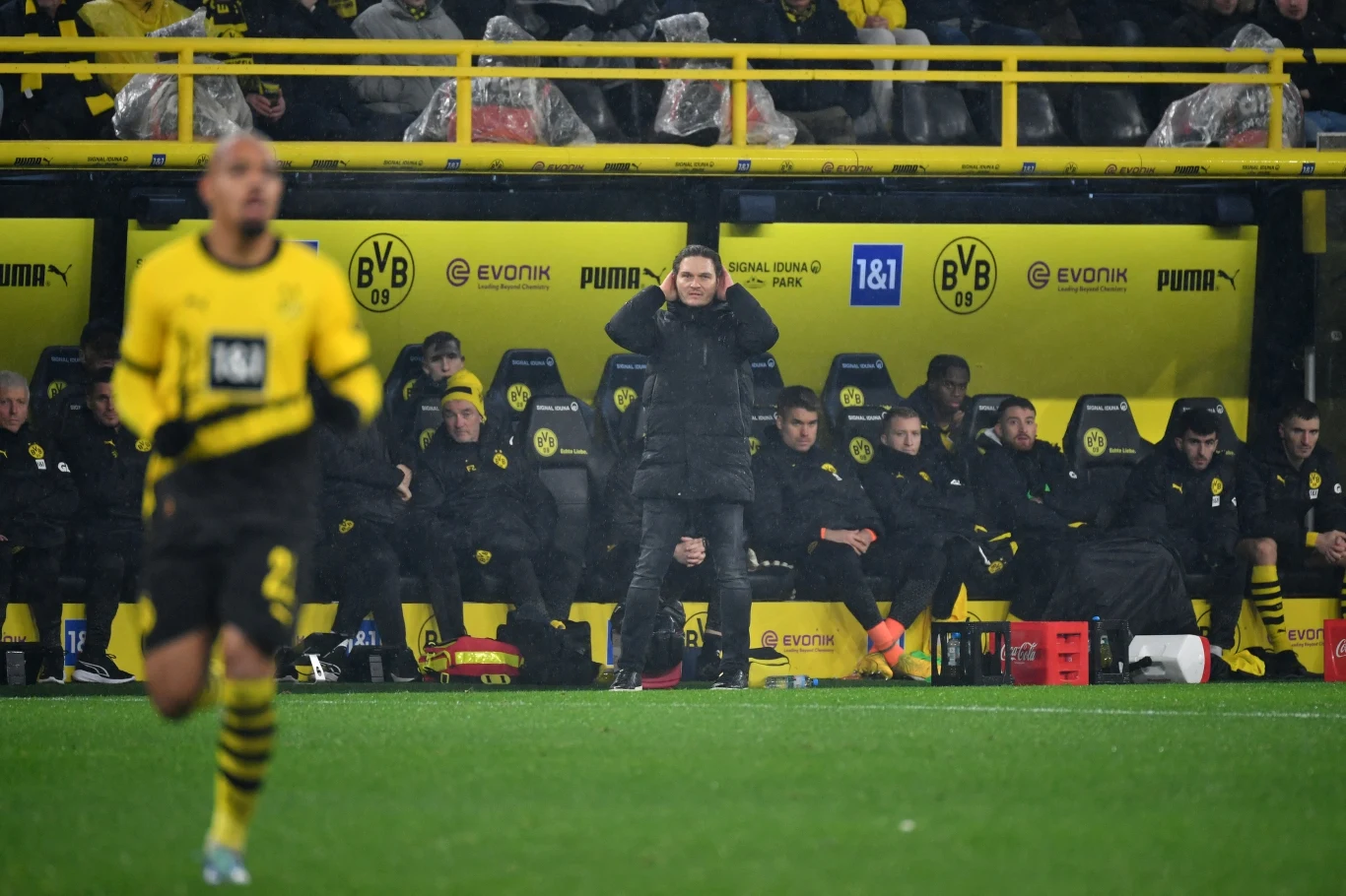 Edin Terzic, trener Borussii Dortmund