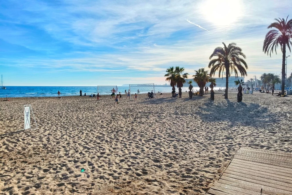 Plaża miejska w Alicante w sam raz dla miłośników wylegiwania się na piasku