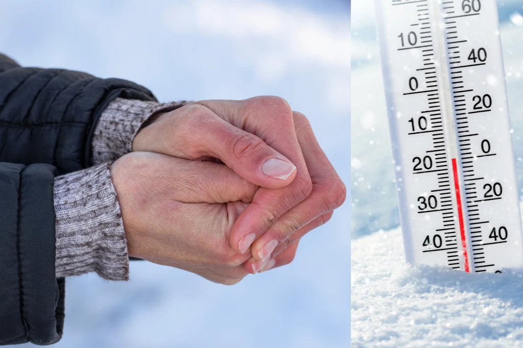 Aktualna fala mrozów stanowi niebezpieczeństwo dla osób starszych i z chorobami układu krążenia Aktualna fala mrozów stanowi niebezpieczeństwo dla osób starszych i z chorobami układu krążenia