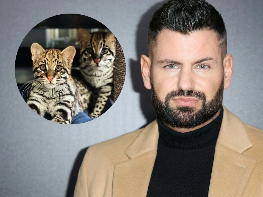 Wojciech Gola wydaje pieniądze w nietypowy sposób